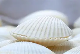 关于贝林厄姆再度上演帽子戏法，维尼修斯后防线成筛子！的信息